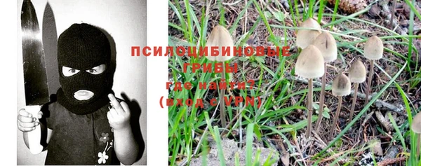 ECSTASY Балабаново
