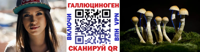 мега рабочий сайт как найти Светлогорск Галлюциногенные грибы Cubensis